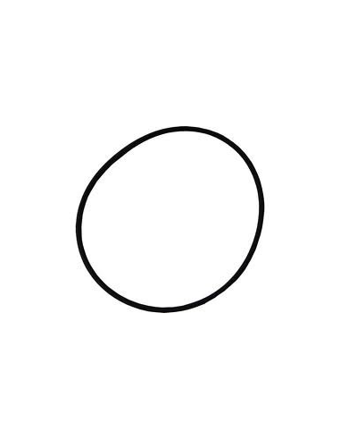 LAKRON LID O RING